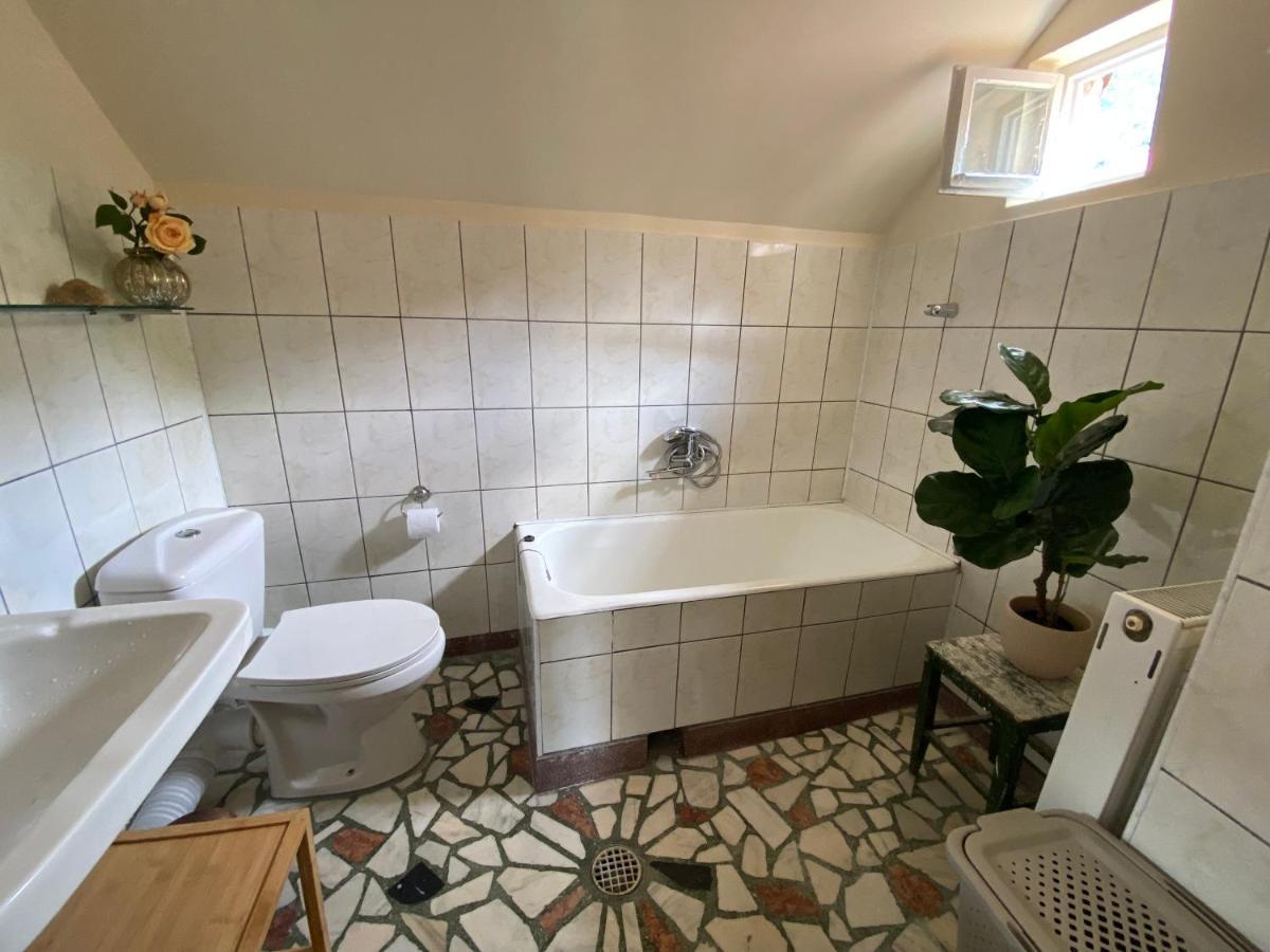 Rose'S Oldtown Apartment Braşov Dış mekan fotoğraf
