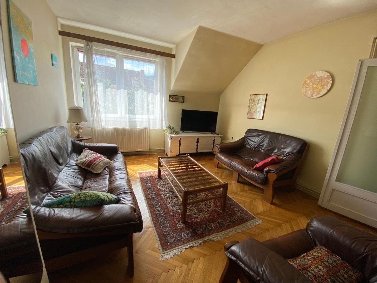 Rose'S Oldtown Apartment Braşov Dış mekan fotoğraf
