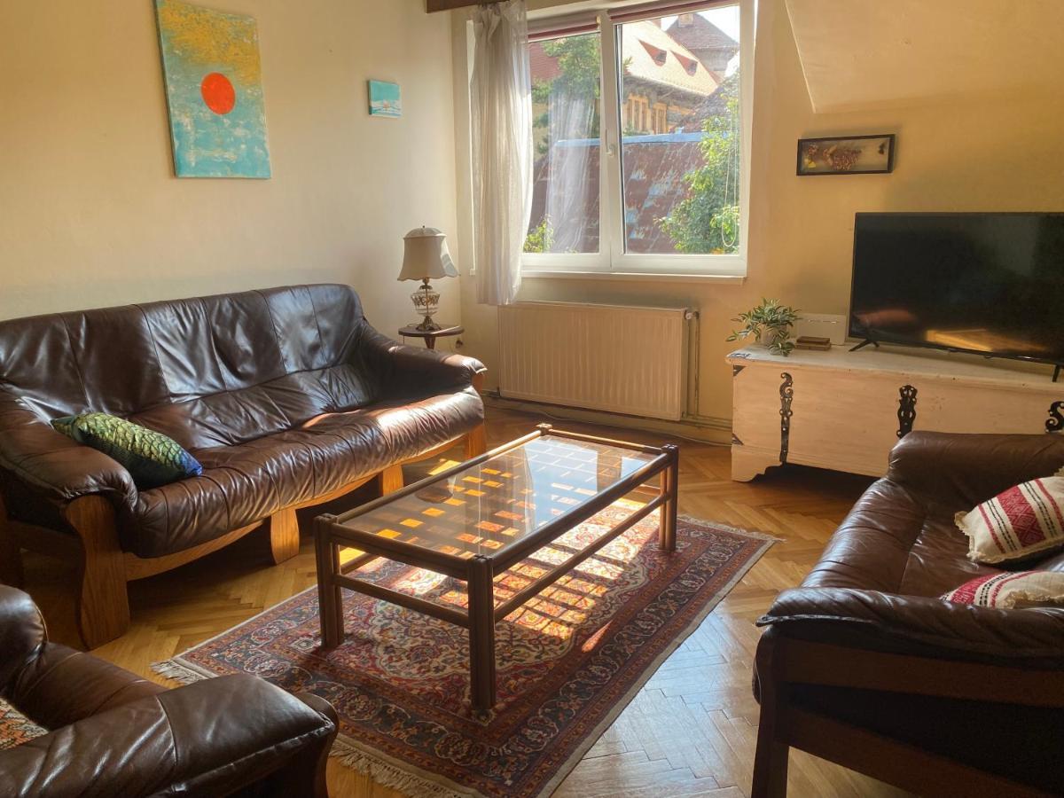 Rose'S Oldtown Apartment Braşov Dış mekan fotoğraf