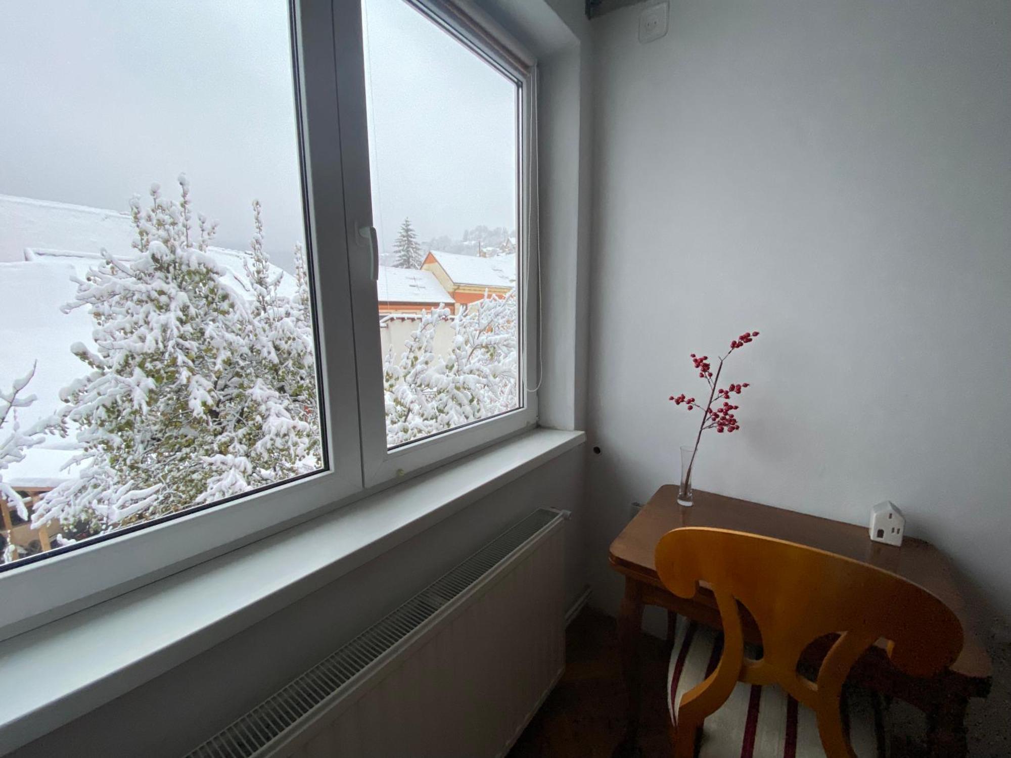 Rose'S Oldtown Apartment Braşov Dış mekan fotoğraf