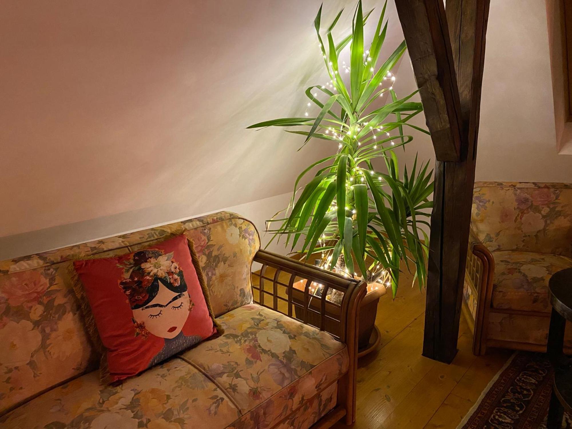 Rose'S Oldtown Apartment Braşov Dış mekan fotoğraf