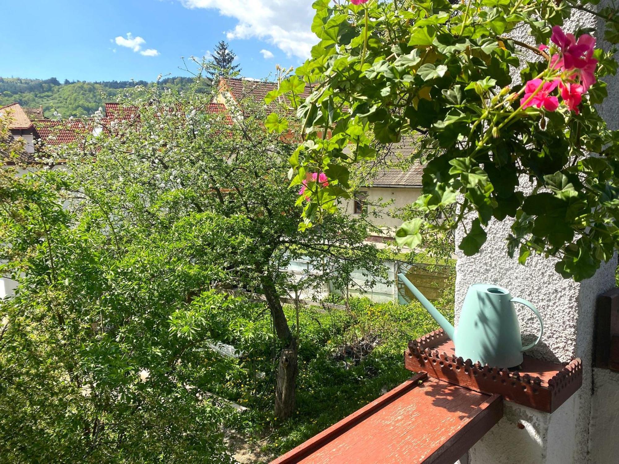 Rose'S Oldtown Apartment Braşov Dış mekan fotoğraf