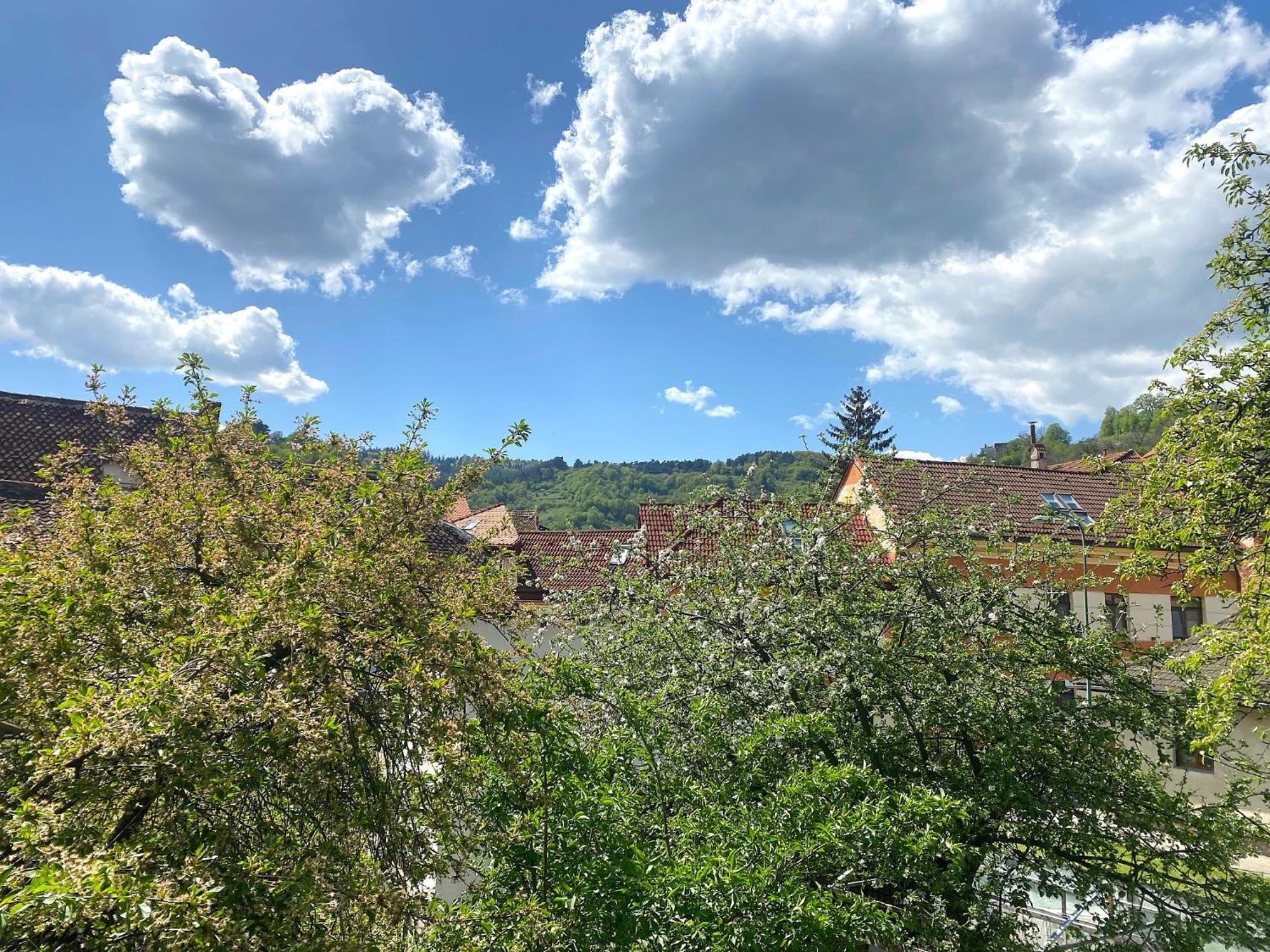 Rose'S Oldtown Apartment Braşov Dış mekan fotoğraf