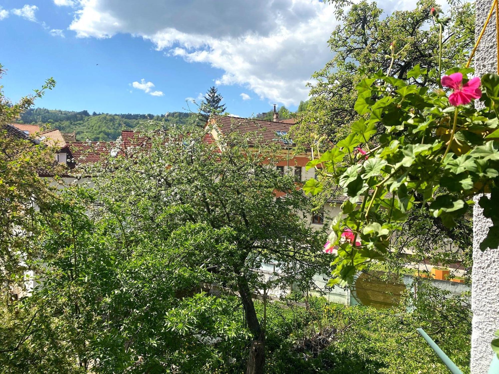 Rose'S Oldtown Apartment Braşov Dış mekan fotoğraf